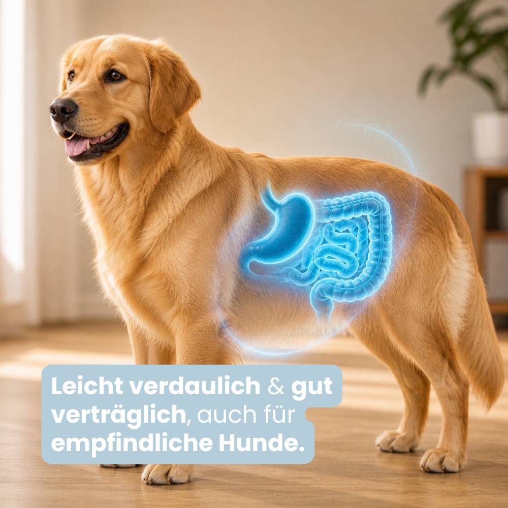 Fellis Adult Premium Trockenfutter – naturbelassen