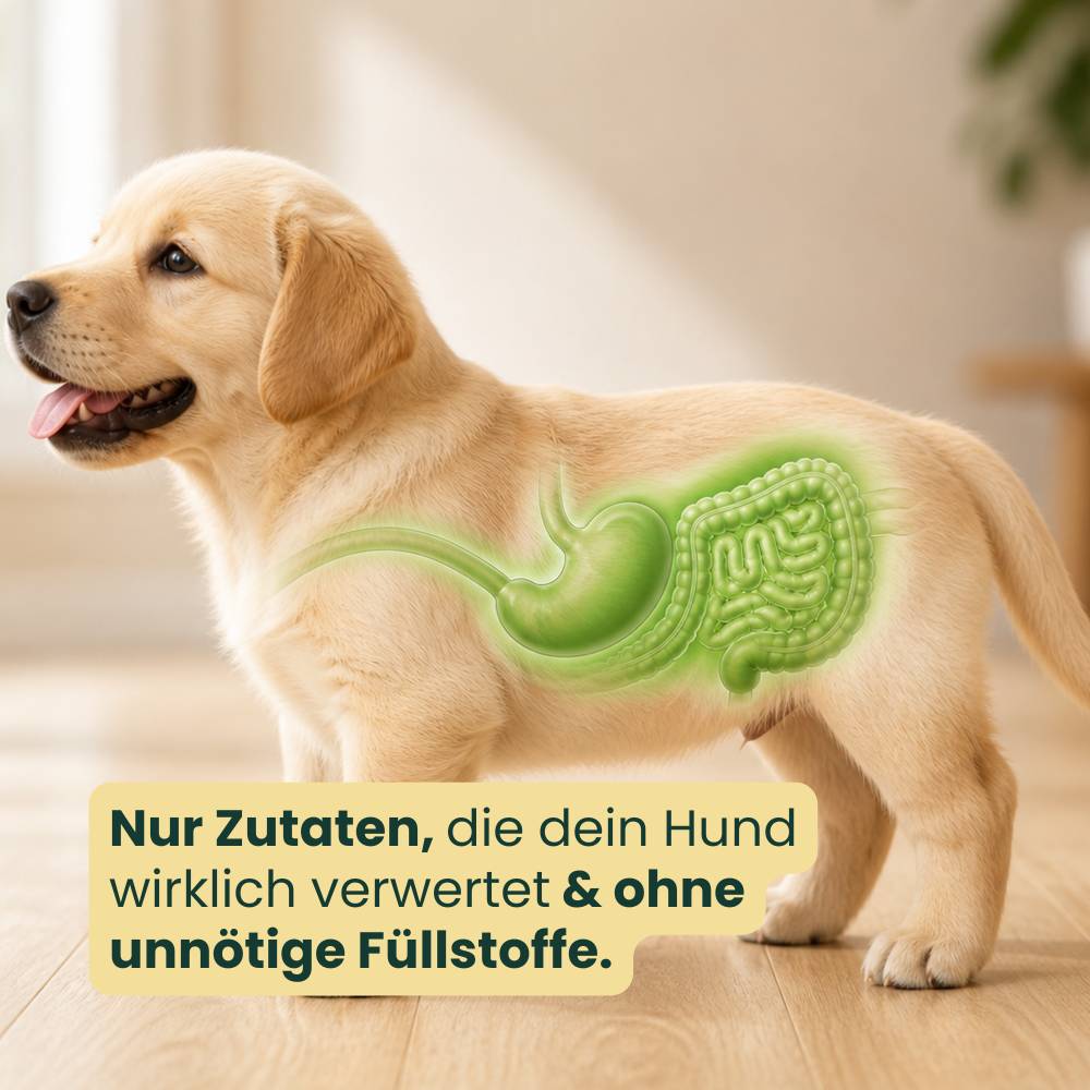 Fellis Junior Premium Hundefutter mit hohem Fleischanteil
