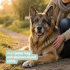 Fellis Hund Senior Huhn Trockenfutter
