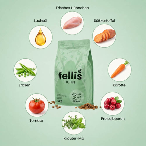 Fellis Senior Hundefutter – gelenkschonend und getreidefrei
